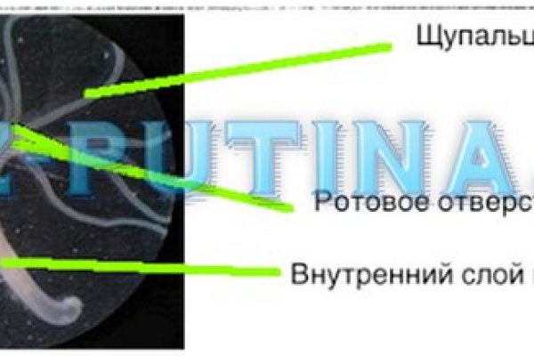 Кракен интернет площадка