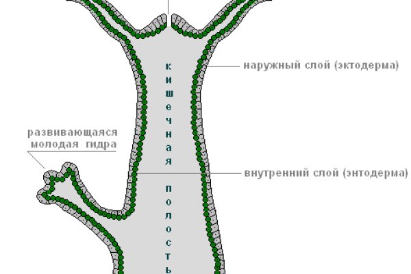 Кракен пх
