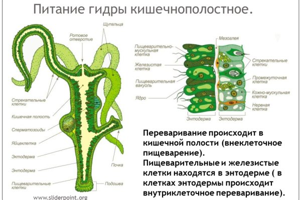 Кракен сайт как зайти